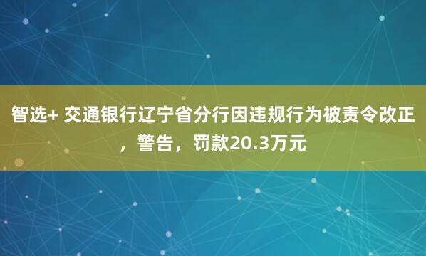 智选+ 交通银行辽宁省分行因违规行为被责令改正，警告，罚款20.3万元
