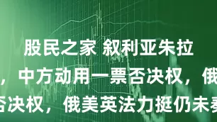 股民之家 叙利亚朱拉尼没料到，中方动用一票否决权，俄美英法力挺仍未奏效