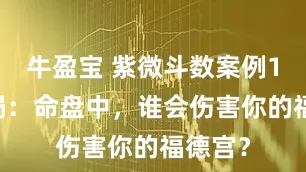 牛盈宝 紫微斗数案例101原局：命盘中，谁会伤害你的福德宫？